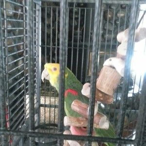 Meet your Posher, Roseann